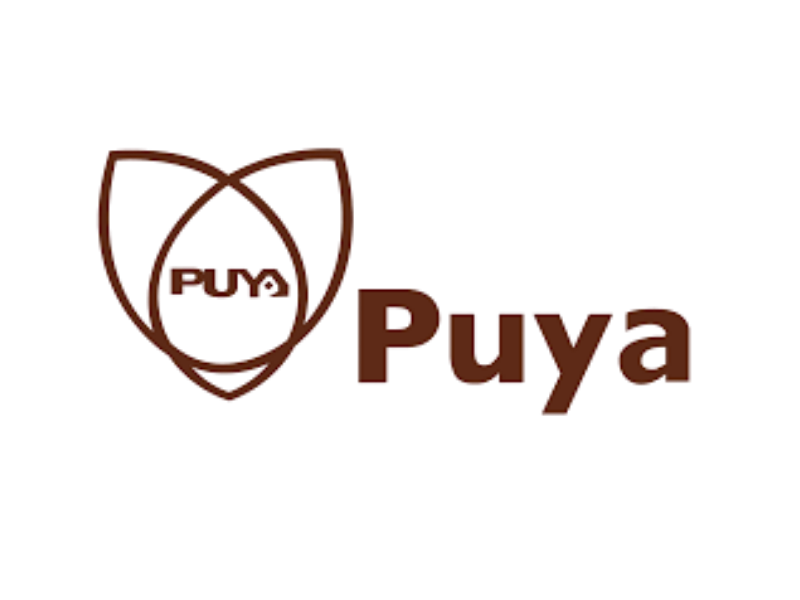 Puyasemi