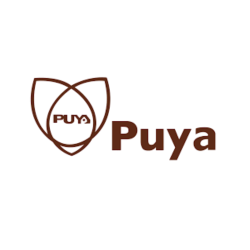 Puyasemi